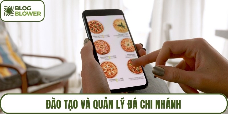 Đào tạo và quản lý đá chi nhánh