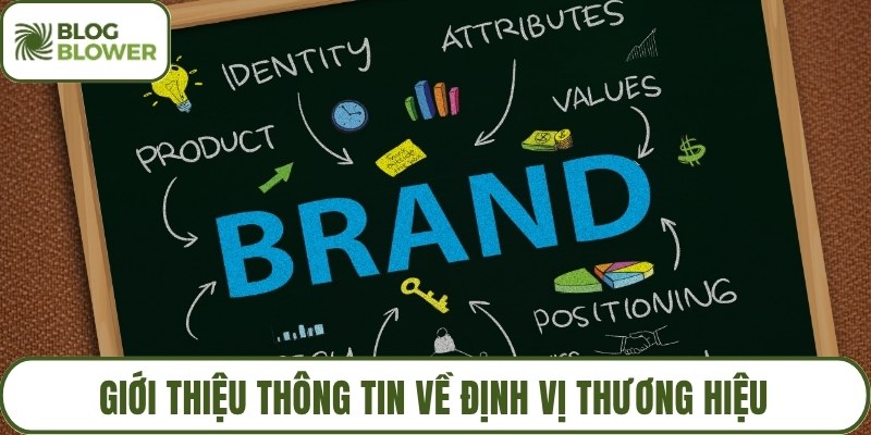 Giới thiệu thông tin về định vị thương hiệu