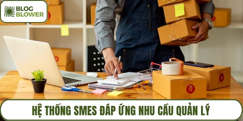 Hệ thống SMEs đáp ứng nhu cầu quản lý