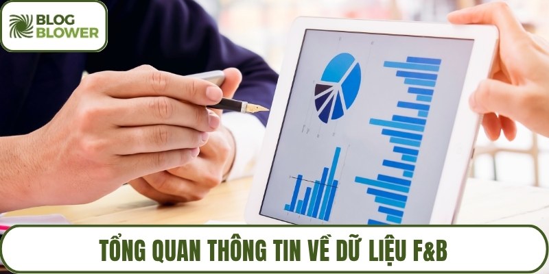 Tổng quan thông tin về dữ liệu F&B